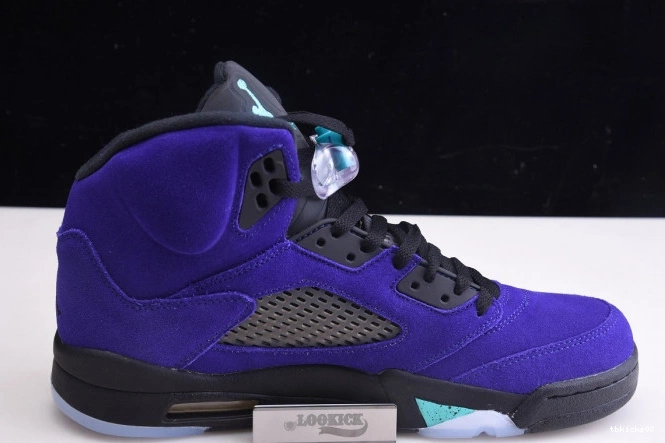 Rep TBkick Air Jordan Alternate Retro 136027-500 5 Grape 0806